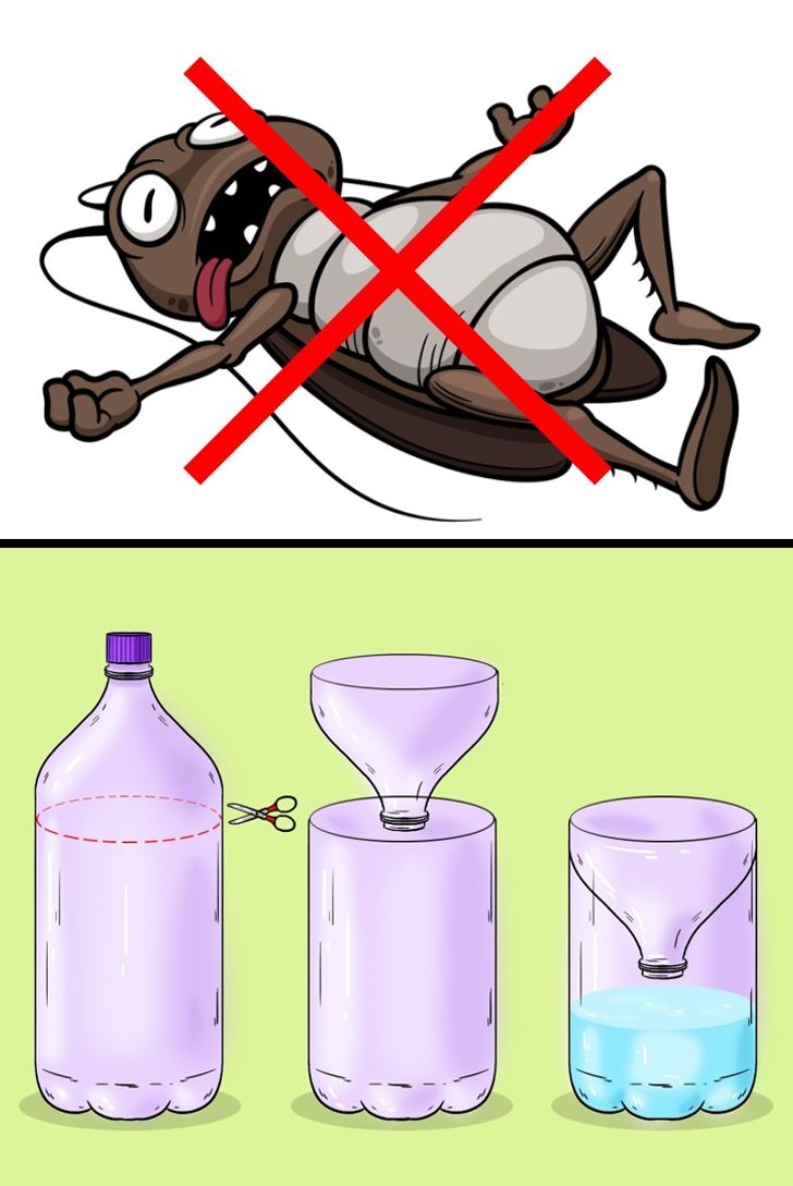 10 Cara agar Serangga Tidak Lagi Menyerang Rumahmu